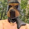 Leather_Dog